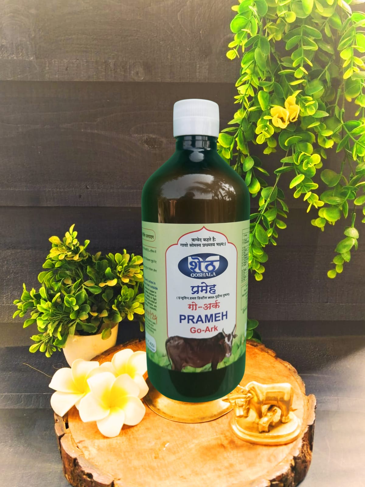 WhatsApp Image 2024-12-03 at 13.25.59